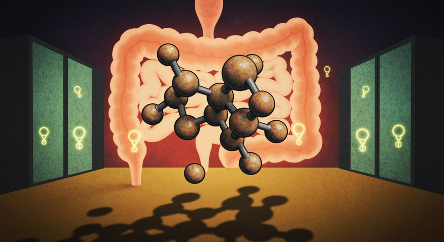 Fulvic Minerals for Gut and Hormonal Health