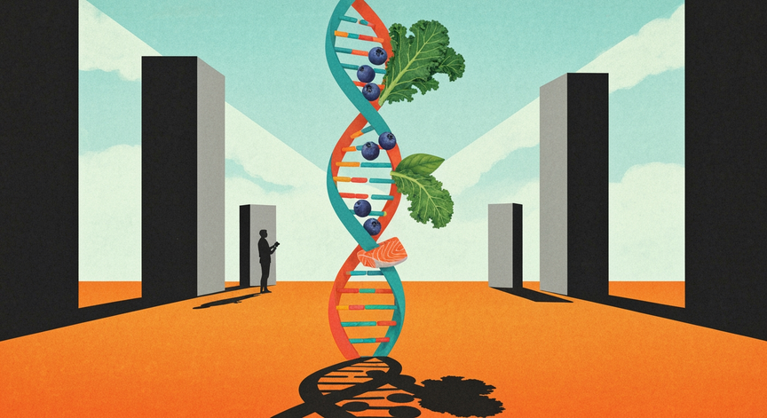 Advanced Foundations of Human Nutrition