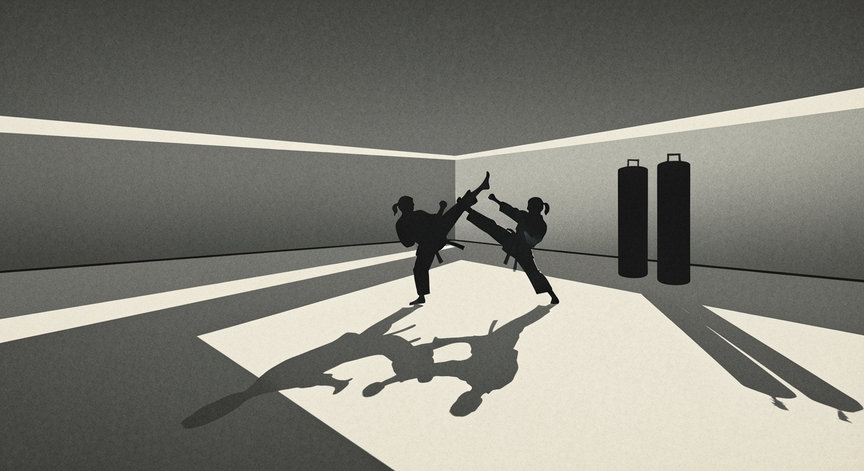 Martial Arts Systems and Applications
