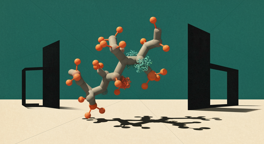 Glycogen Metabolism and Regulation