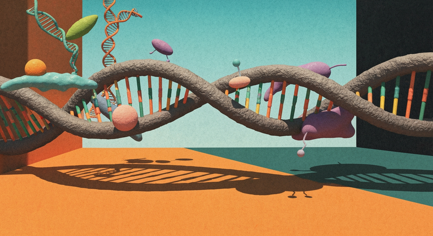 Advanced DNA Replication Mechanisms