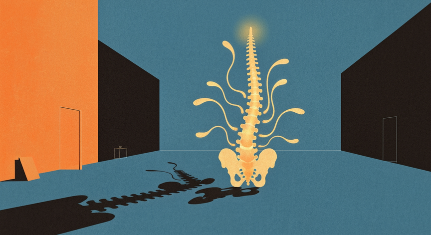 Practica și Mecanismele Spinal Energetics