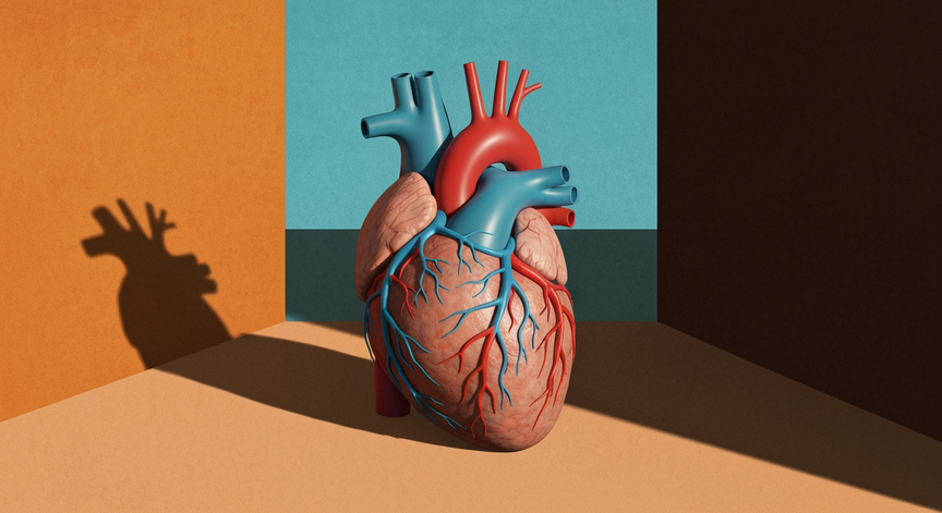 Advanced Cardiovascular Physiology and Function