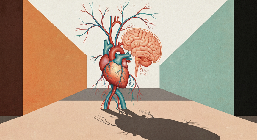 Human Anatomy and Clinical Physiology