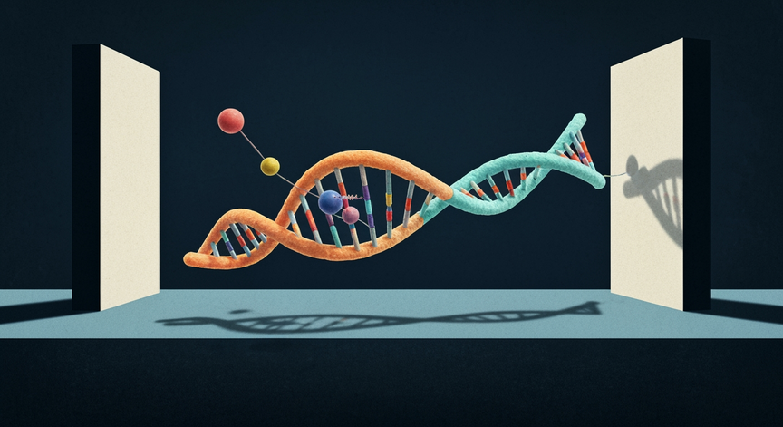Advanced CRISPR Gene Editing