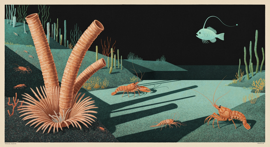 Deep-Sea Biological Adaptations
