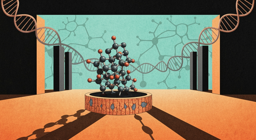 ADHD Genetics and Neuropharmacology
