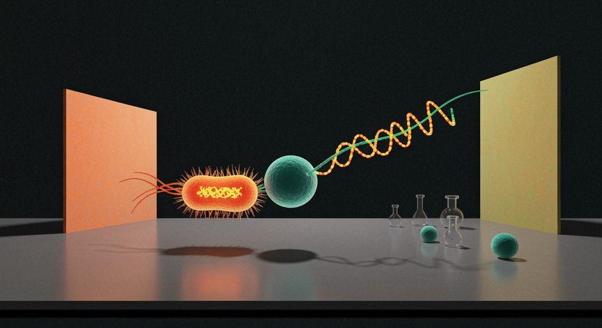 Antibiotic Resistance Evolution and Impact