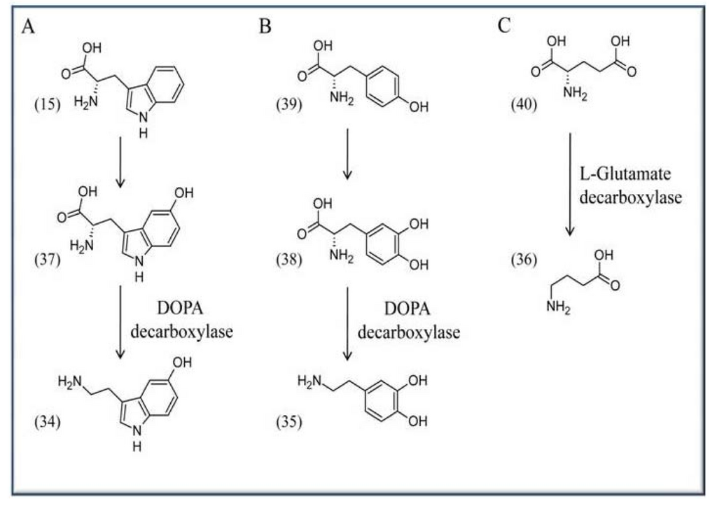 Lesson image