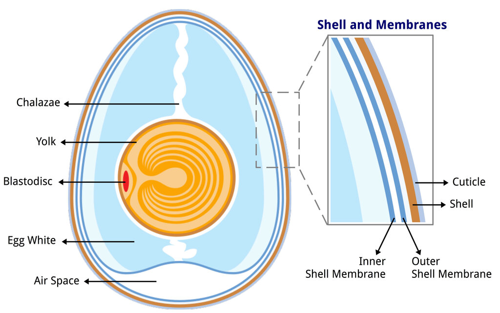 Lesson image
