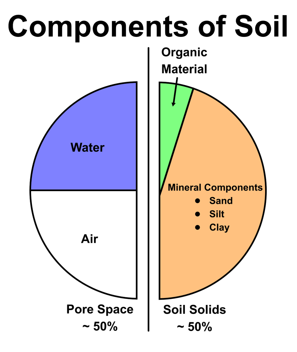 Lesson image
