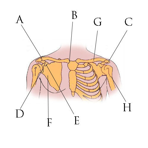 Lesson image
