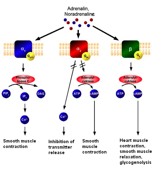 Lesson image