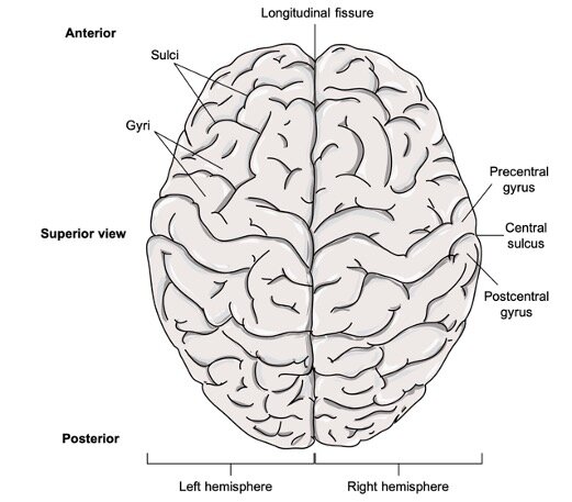 Lesson image