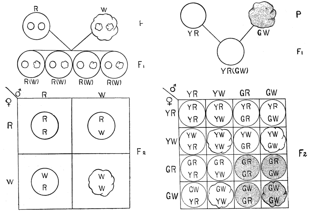 Lesson image