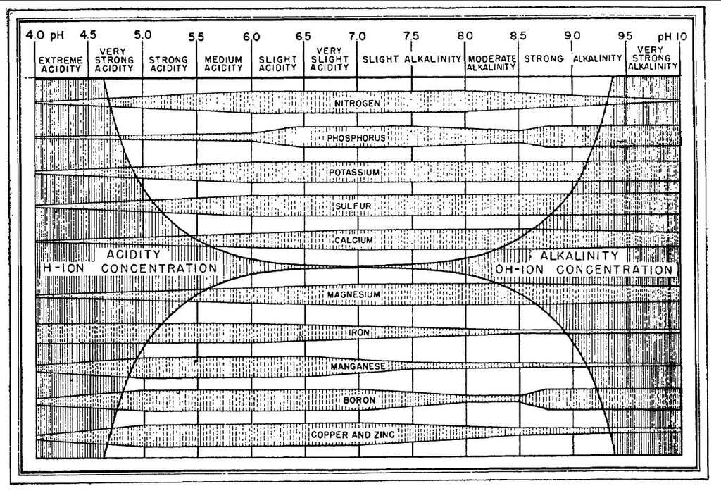 Lesson image