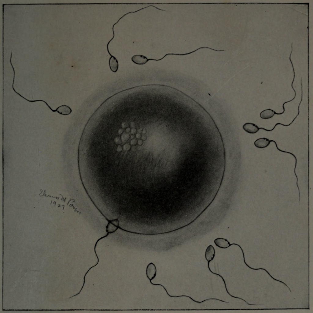 Lesson image