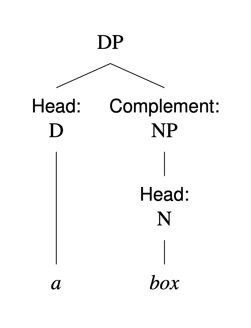 Lesson image