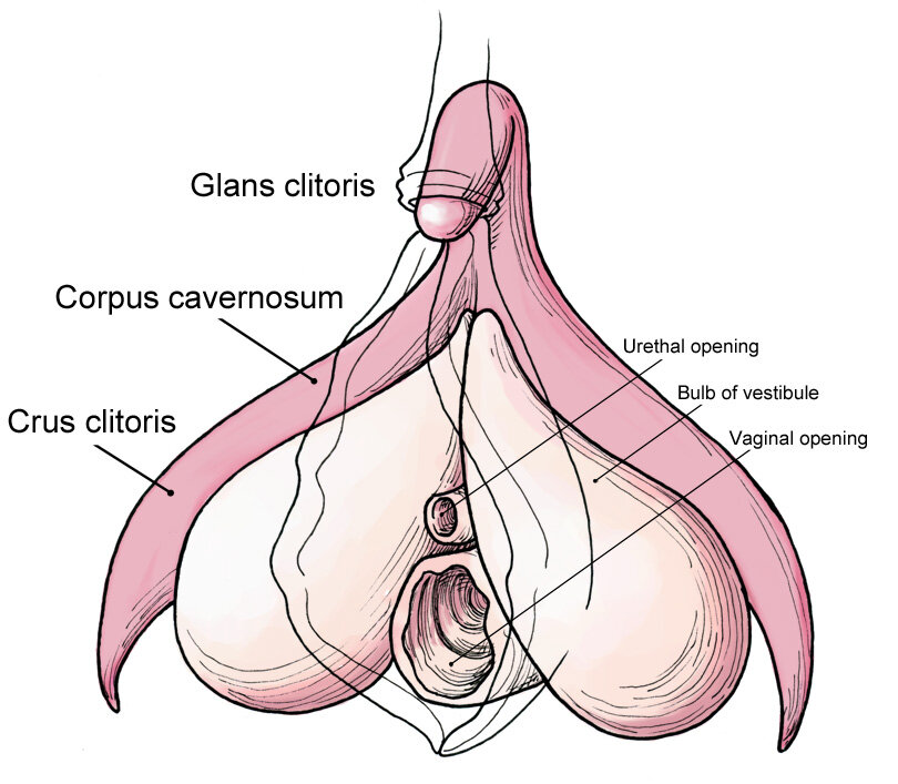 Lesson image