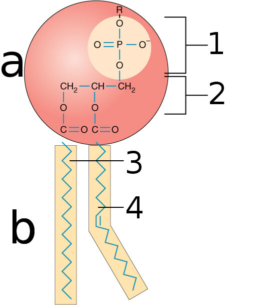 Lesson image