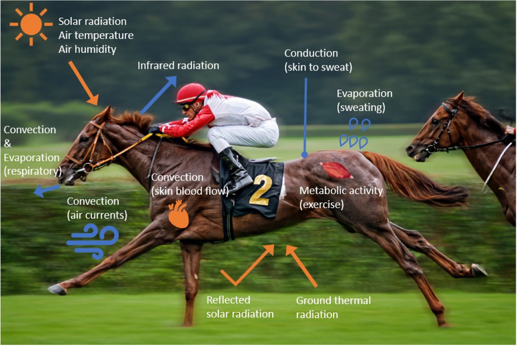 Lesson image