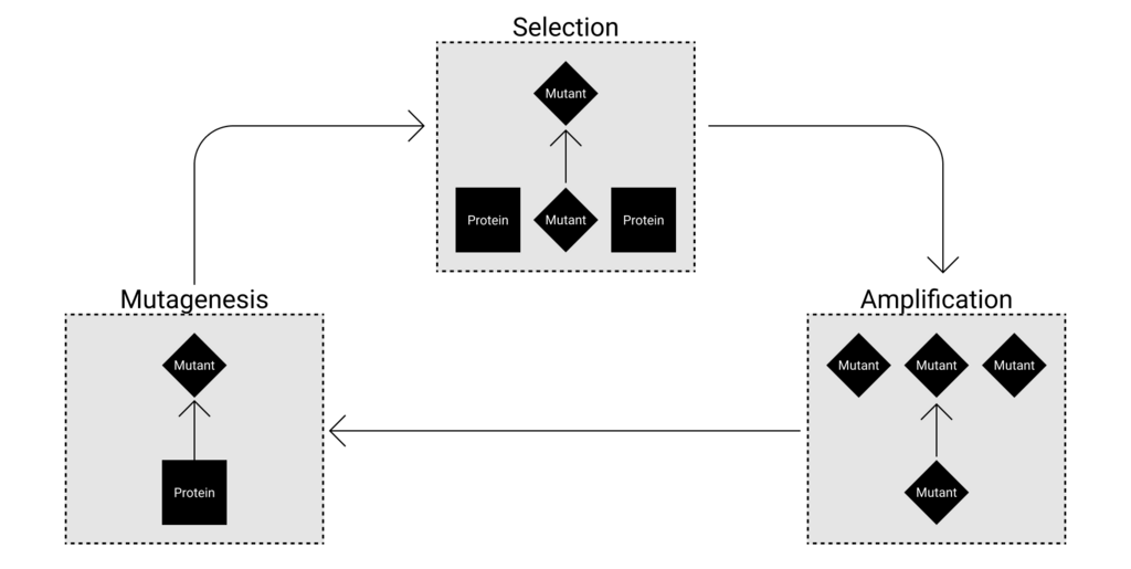 Lesson image