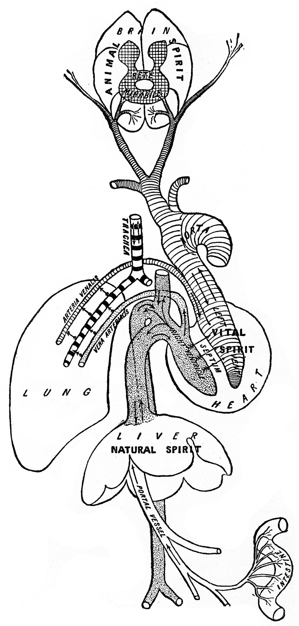 Lesson image