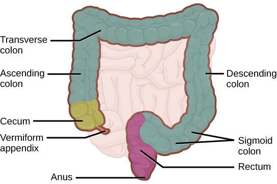 Lesson image