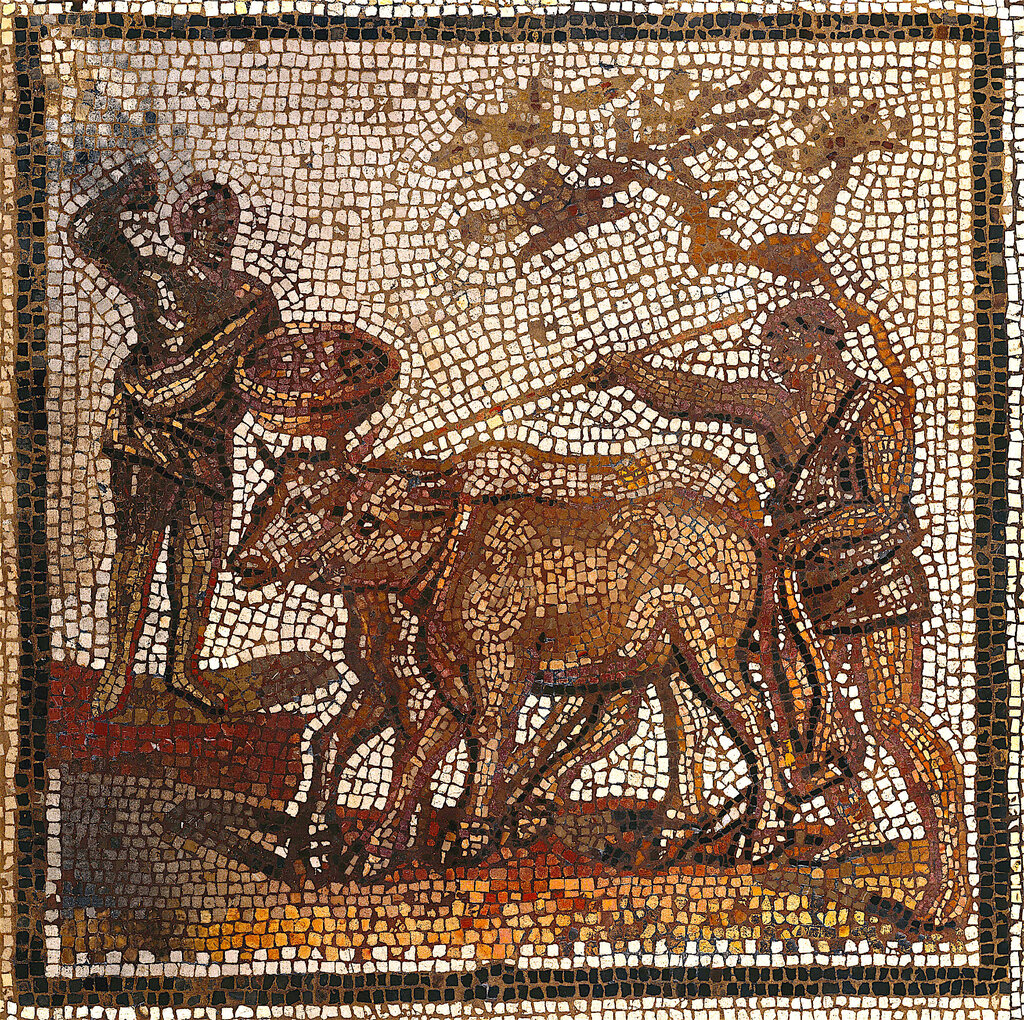 Lesson image