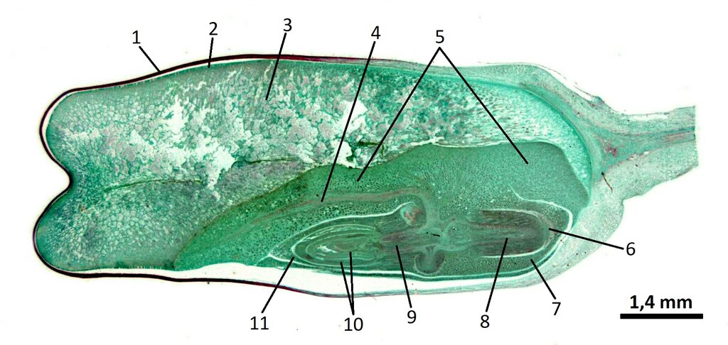 Lesson image