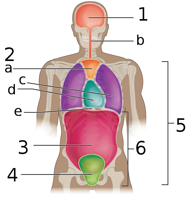 Lesson image