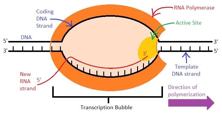 Lesson image
