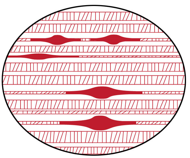Lesson image