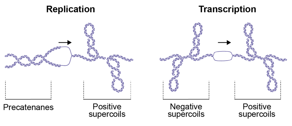 Lesson image