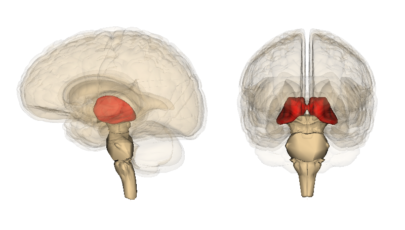 Lesson image