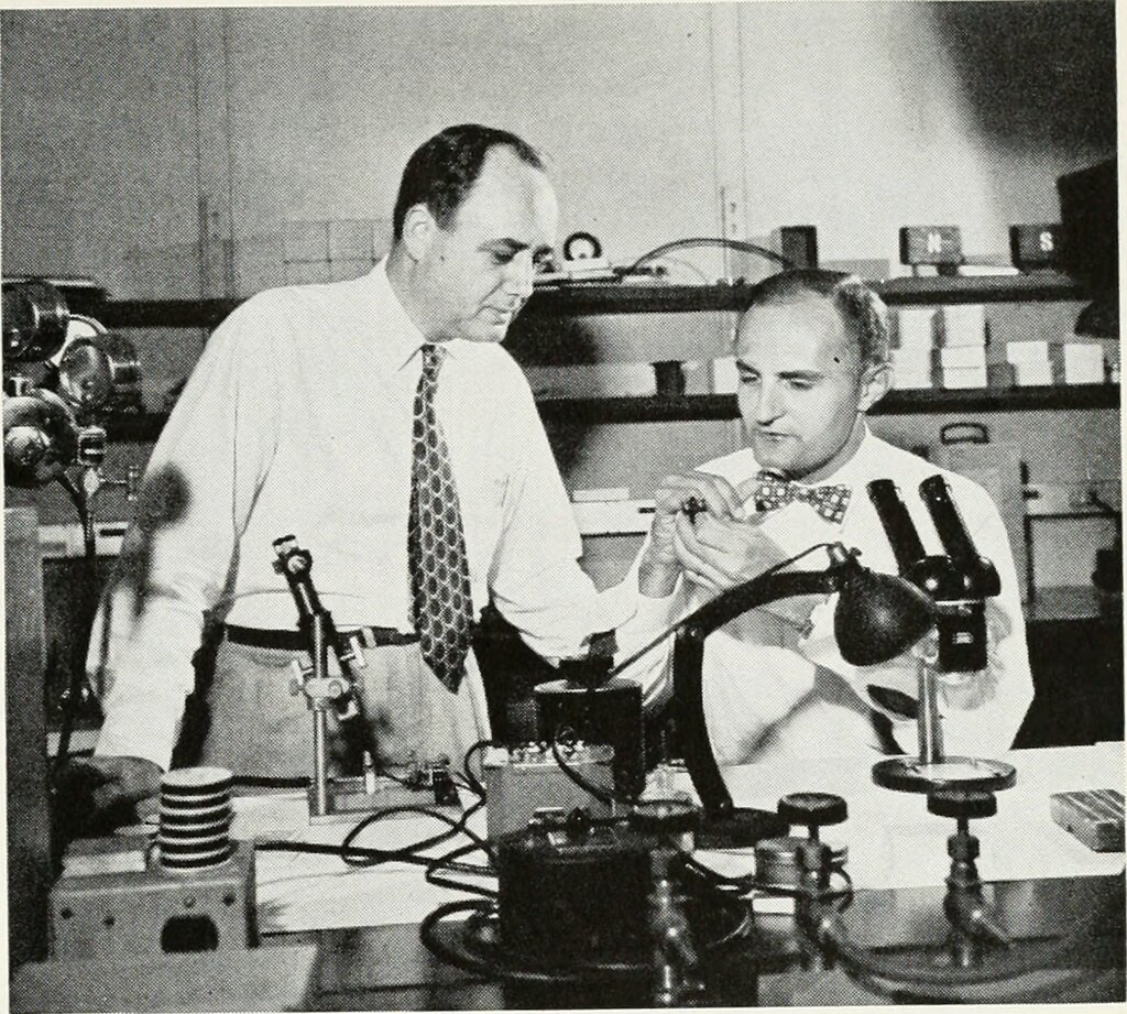 Lesson image