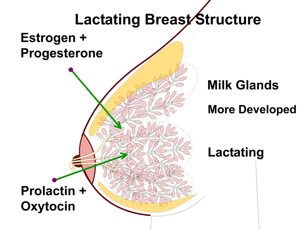 Lesson image