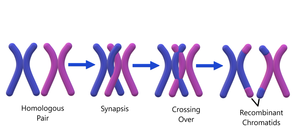 Lesson image