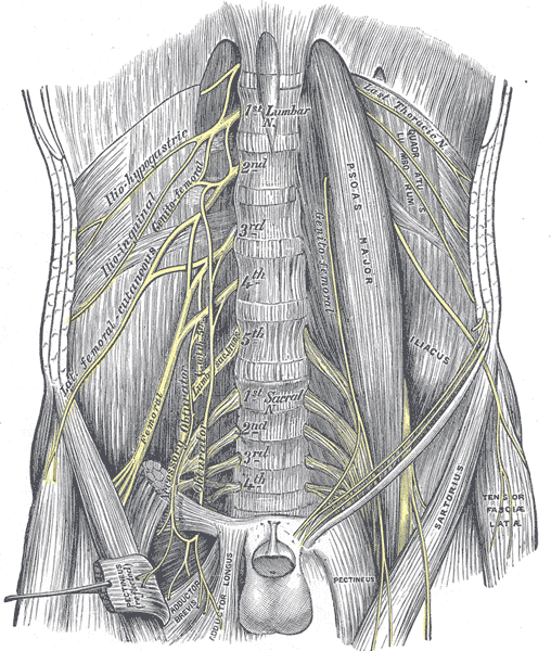 Lesson image