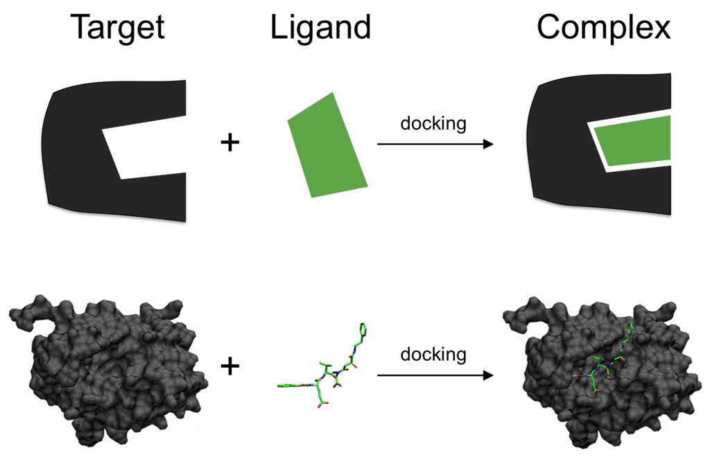 Lesson image