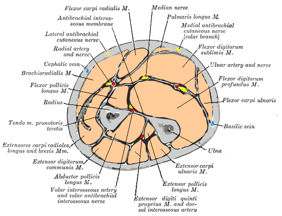 Lesson image