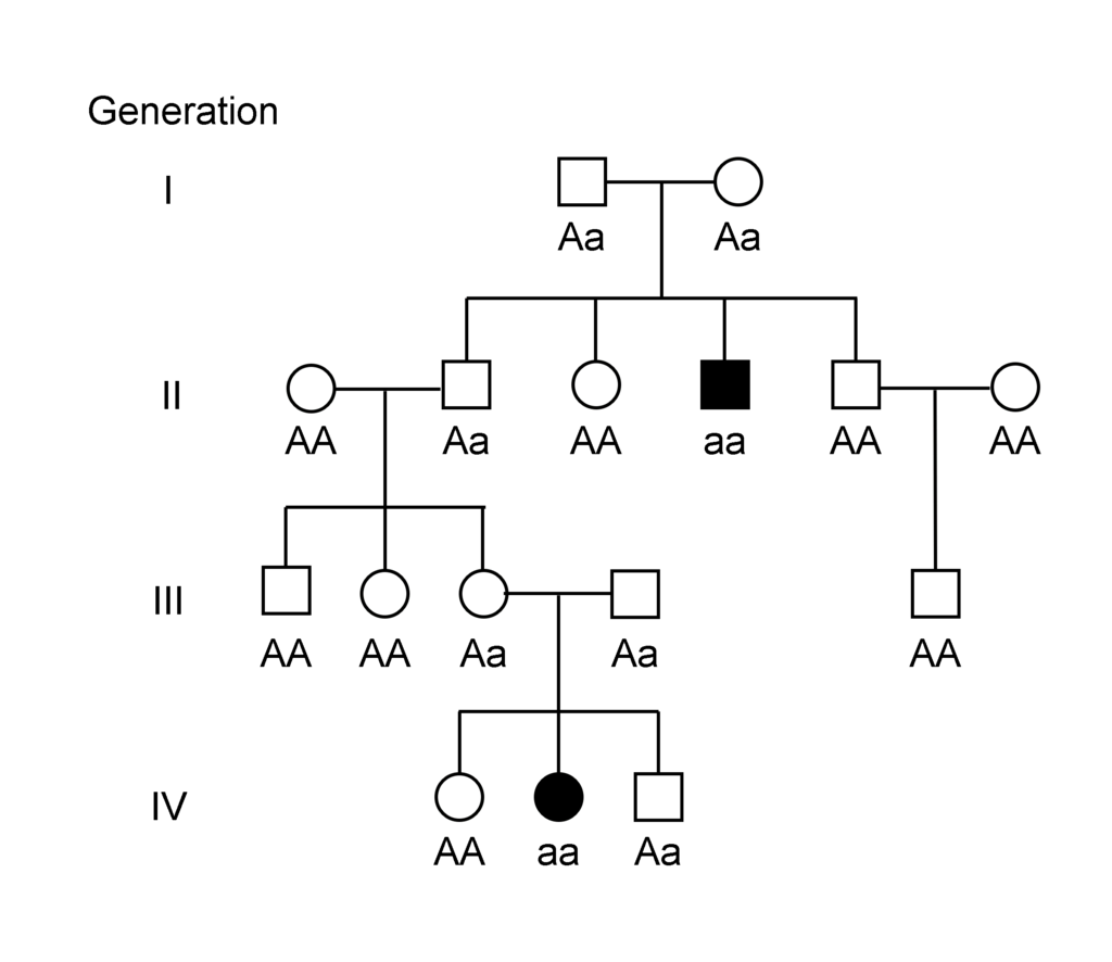 Lesson image