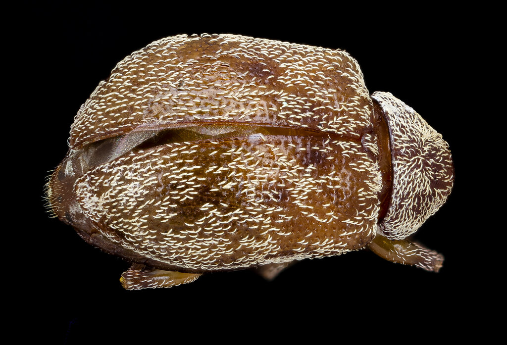 Lesson image