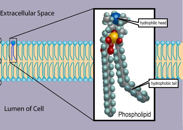 Lesson image