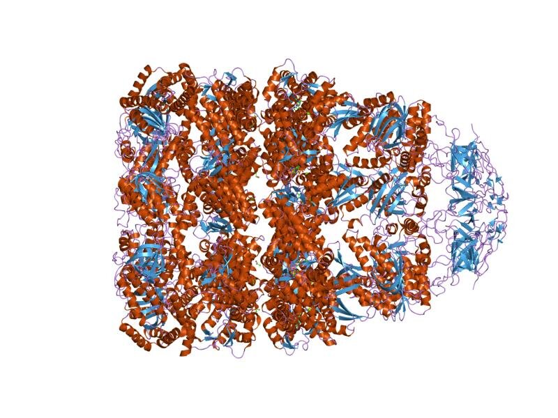 Lesson image