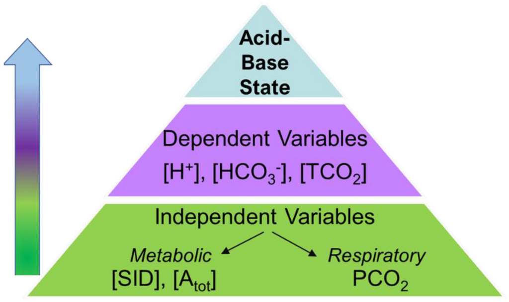 Lesson image