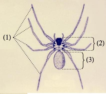 Lesson image
