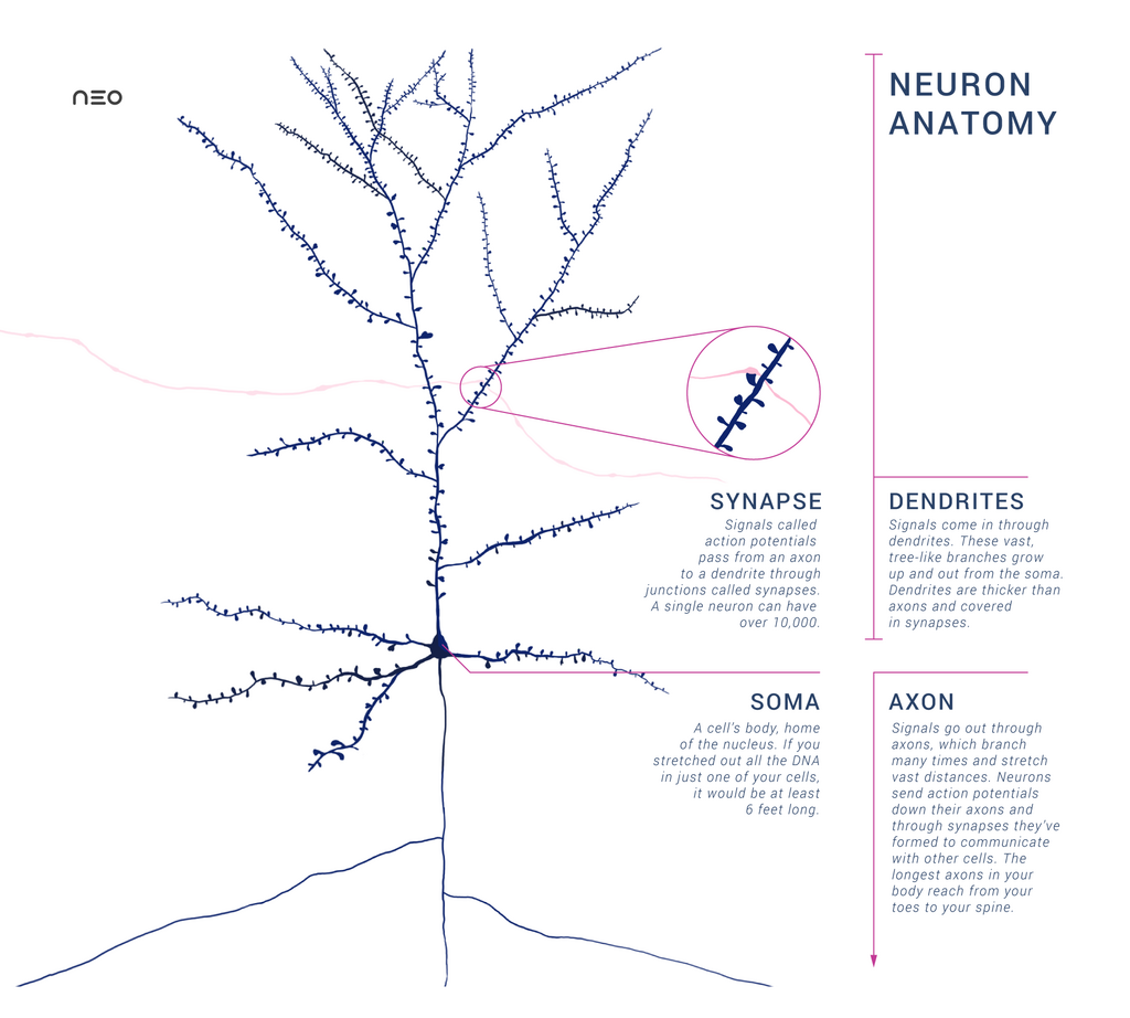 Lesson image