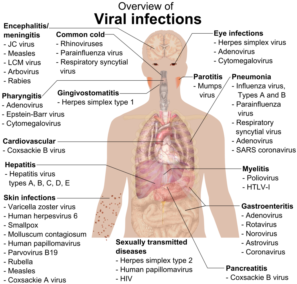 Lesson image