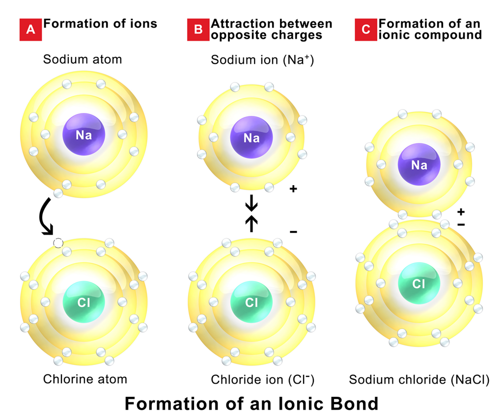 Lesson image
